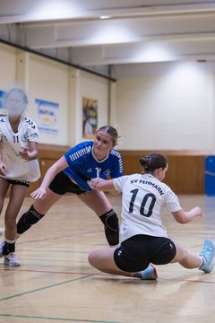 Bild 116 - wBJ TSV Ellerau - SV Fehmarn : Ergebnis: 27:20